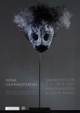 31. výstava: XÉNIA  HOFFMEISTEROVÁ