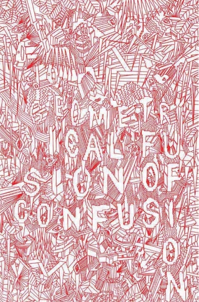 Bařinka Petr: Geometrical fusion of confusion