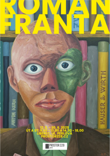 77. výstava: ROMAN FRANTA