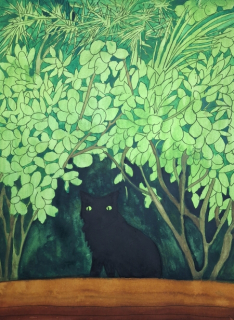 Bařinka Petr: Black cat