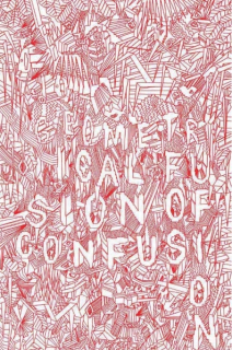 Bařinka Petr: Geometrical fusion of confusion